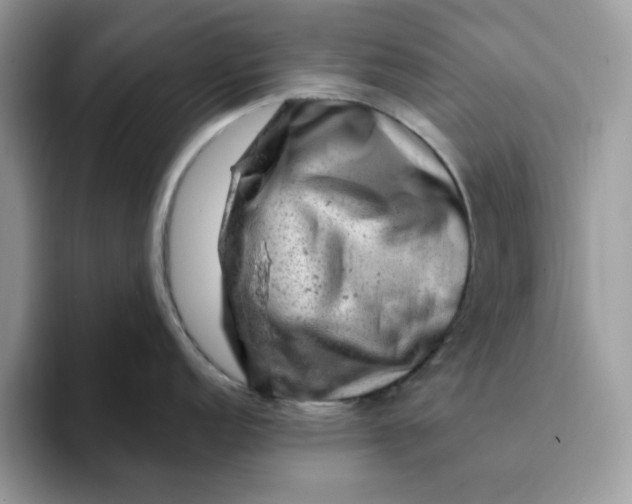 X0000093211152200710171337