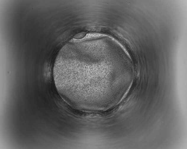 X0000093211154200710171336