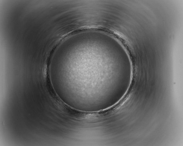 X0000093211161200710171336