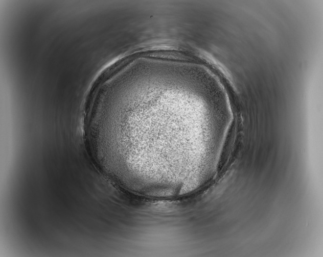 X0000093211166200710171336