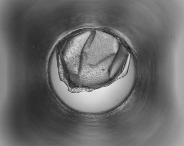 X0000093211168200710171336