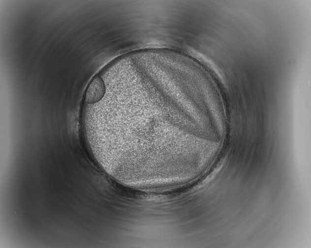 X0000093211170200710171336