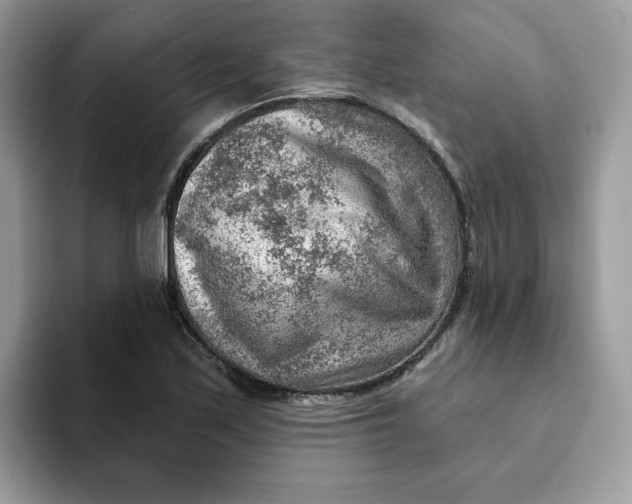 X0000093211171200710171336