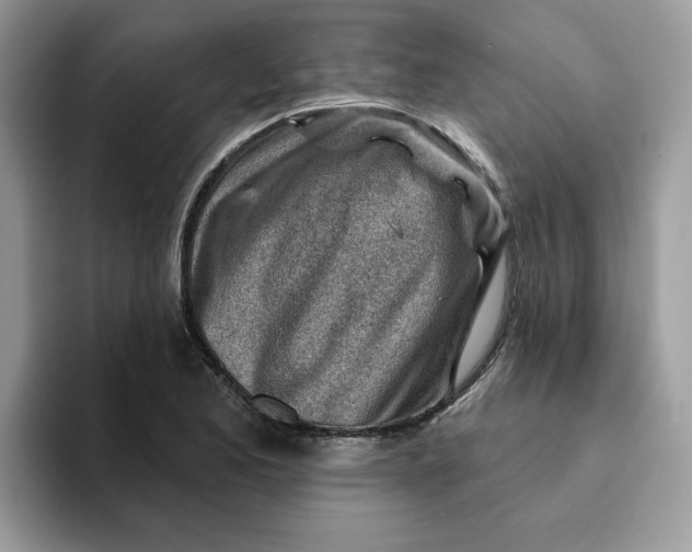 X0000093211173200710171336