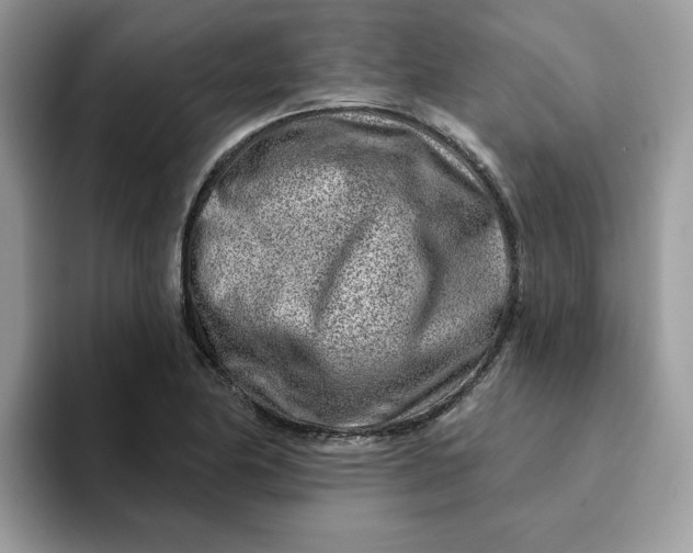 X0000093211174200710171336