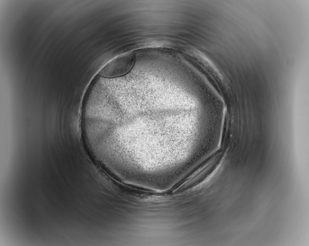 X0000093211178200710171336