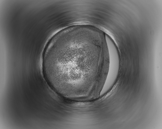 X0000093211179200710171336