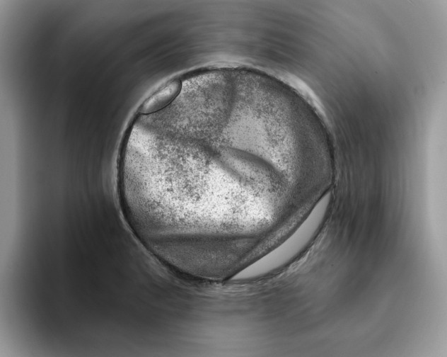 X0000093211183200710171336