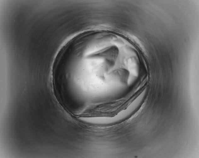 X0000093211184200710171336