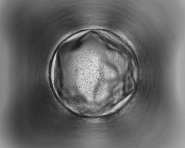 X0000093211189200710171336