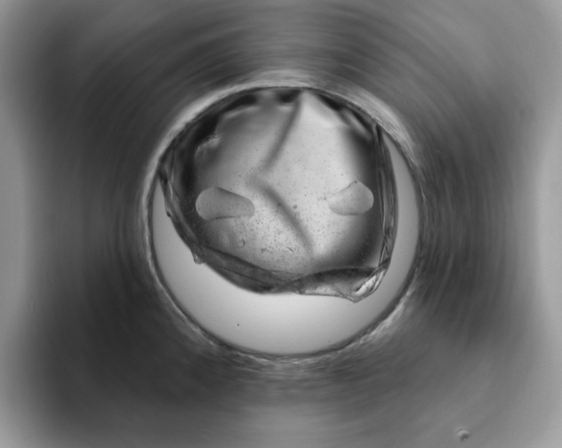 X0000093211192200710171335