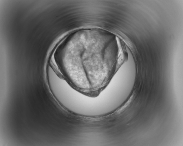 X0000093211196200710171335