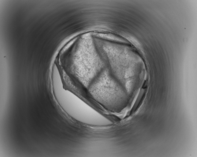 X0000093211200200710171335