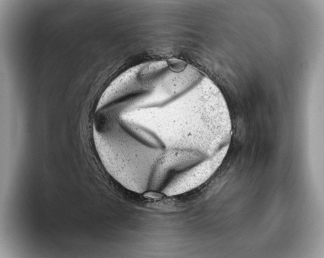 X0000093211201200710171335