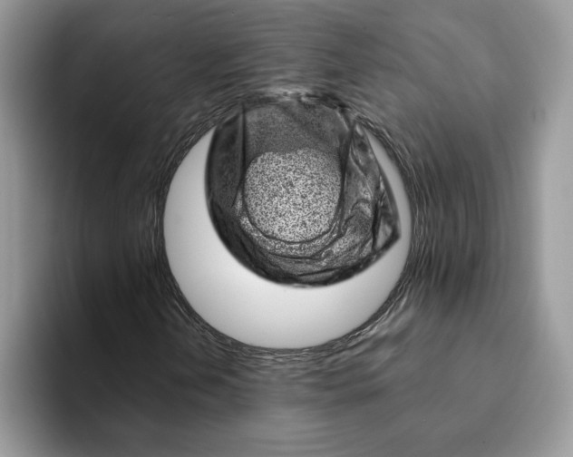 X0000093211202200710171335