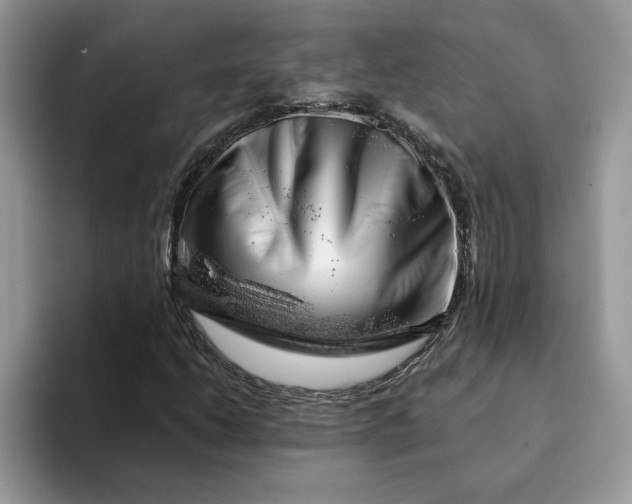 X0000093211206200710171335