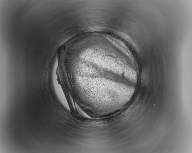 X0000093211209200710171335