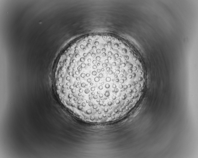 X0000093211212200710171335