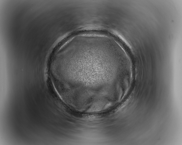 X0000093211213200710171335