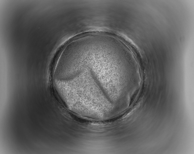 X0000093211215200710171335