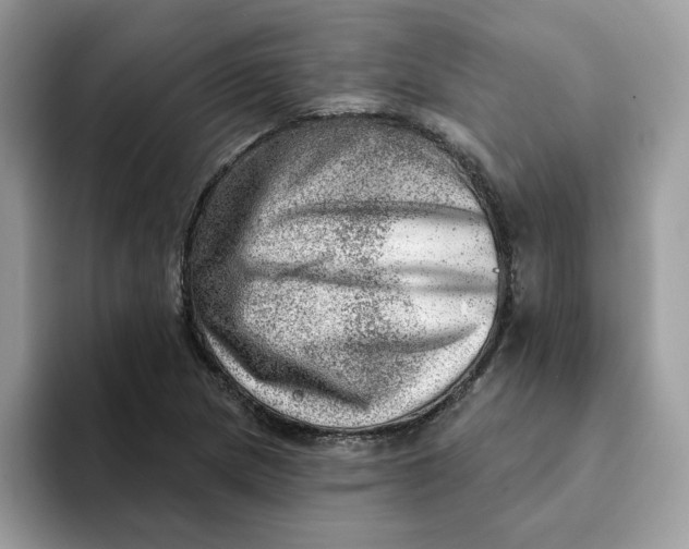 X0000093211217200710171335