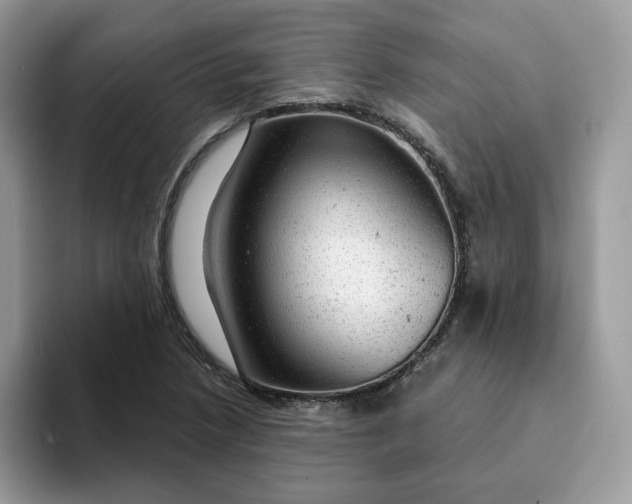 X0000093211218200710171335