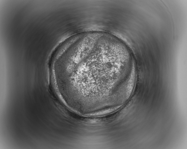 X0000093211219200710171335