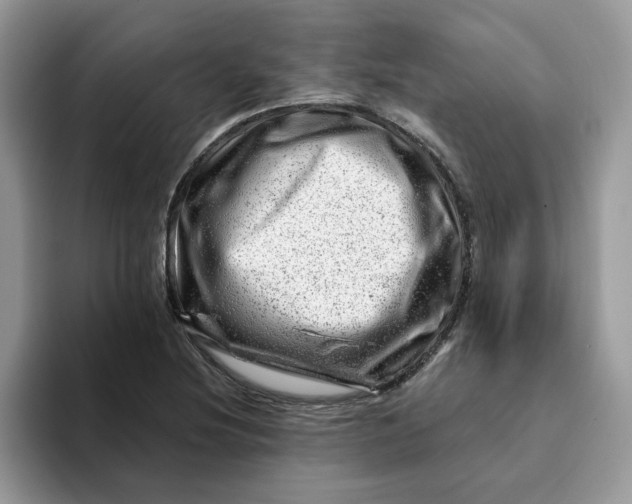 X0000093211220200710171335