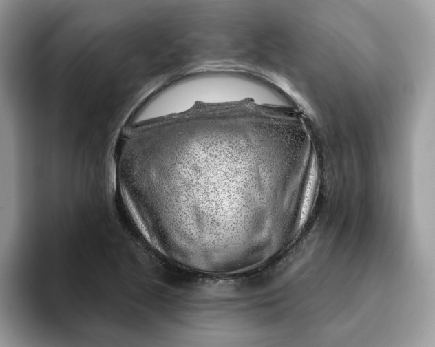 X0000093211221200710171335