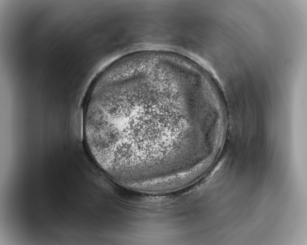 X0000093211223200710171335