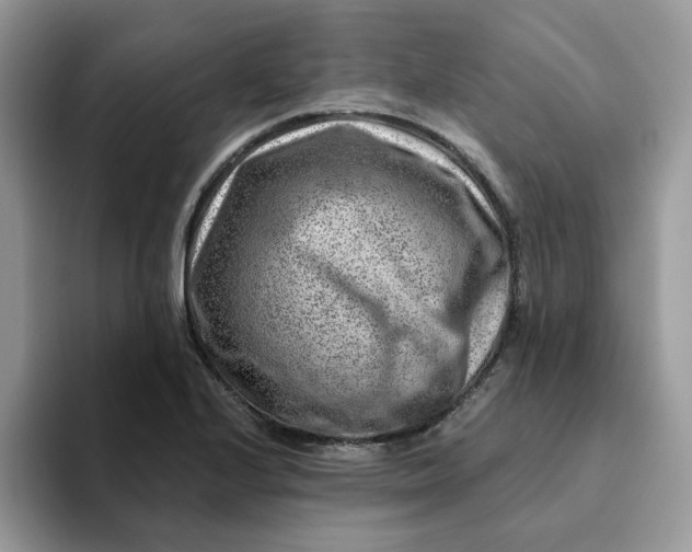 X0000093211224200710171335