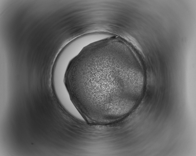 X0000093211226200710171335