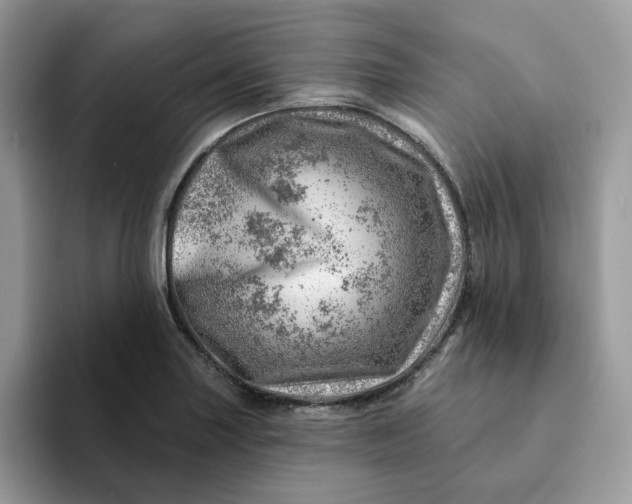 X0000093211227200710171335