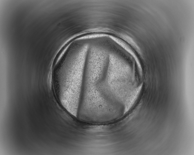 X0000093211228200710171335