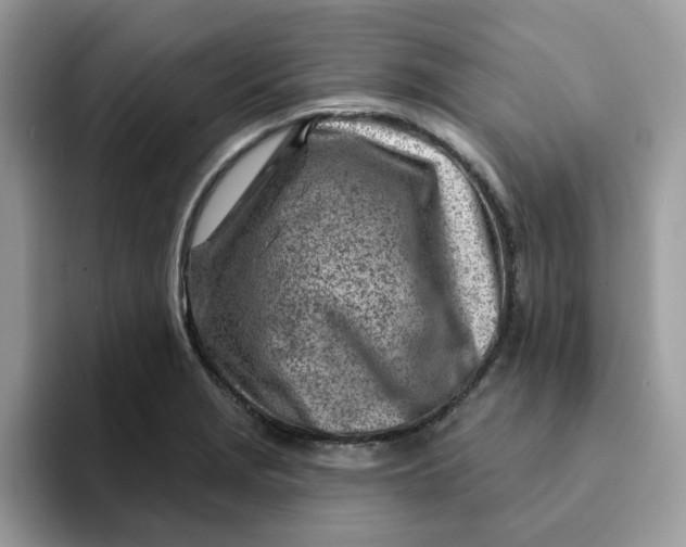 X0000093211229200710171335