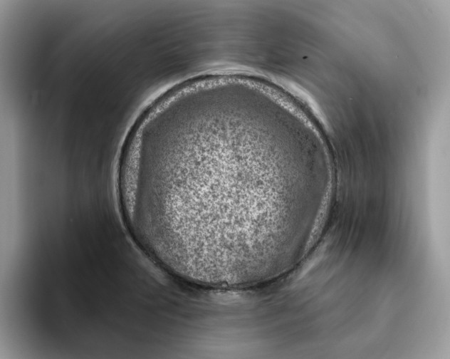 X0000093211231200710171335