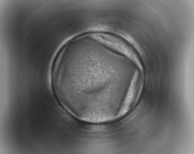 X0000093211232200710171335