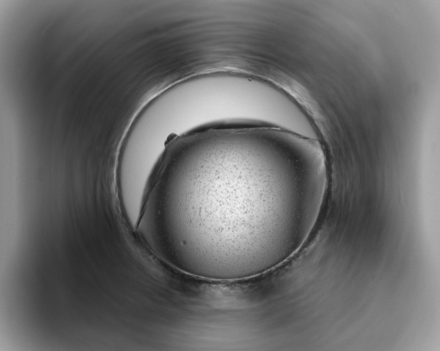 X0000093211234200710171335