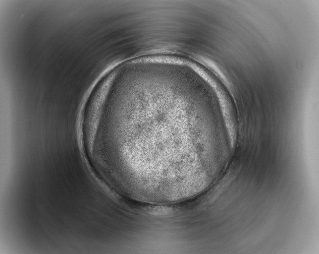 X0000093211235200710171335