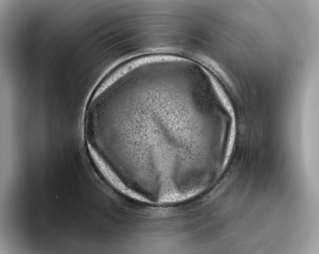 X0000093211236200710171335