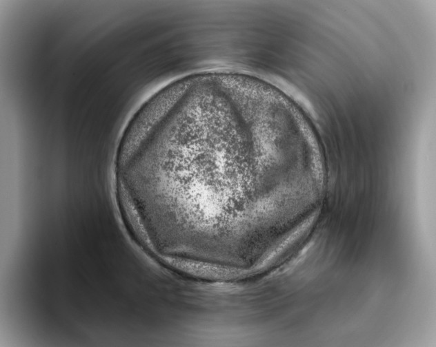 X0000093211239200710171335