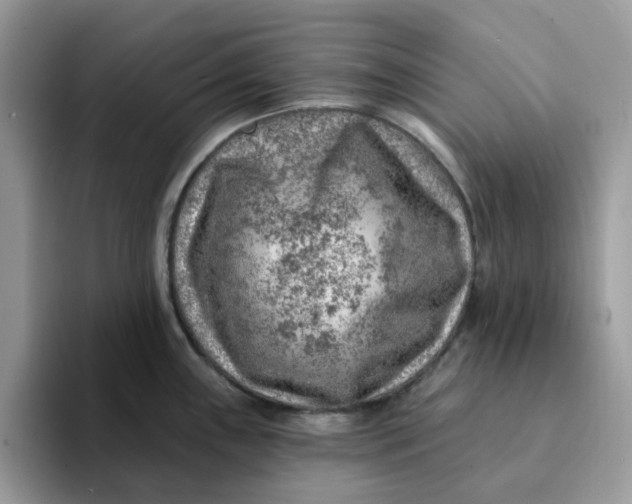 X0000093211243200710171335