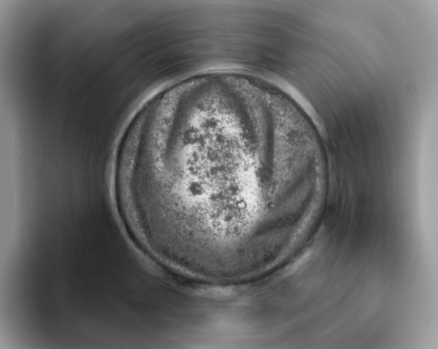 X0000093211245200710171335