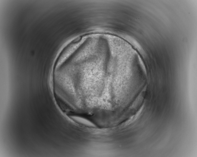 X0000093211247200710171335