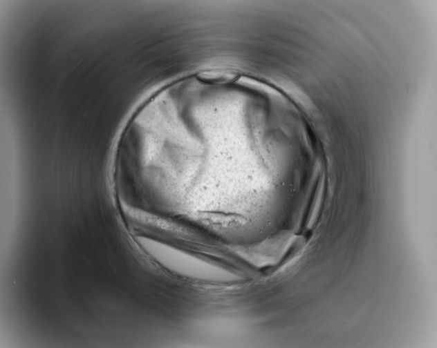 X0000093211248200710171335