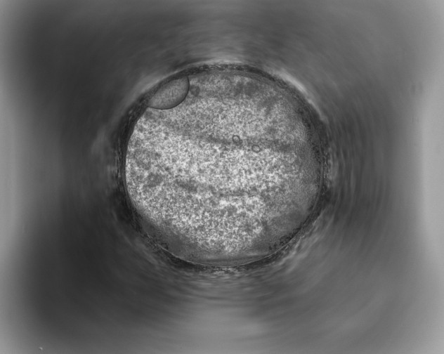 X0000093211255200710171335