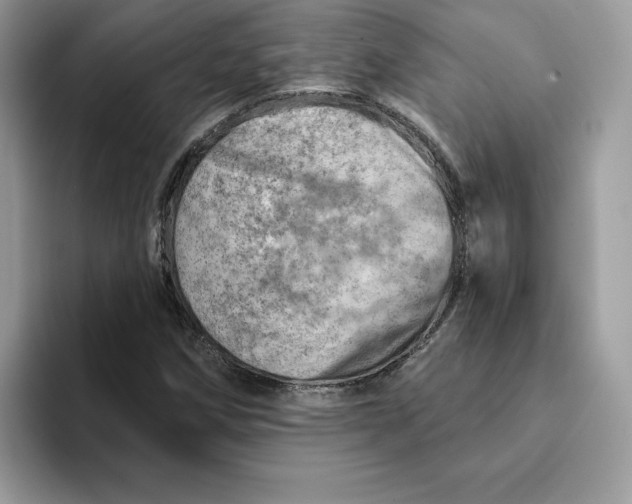 X0000093211258200710171335