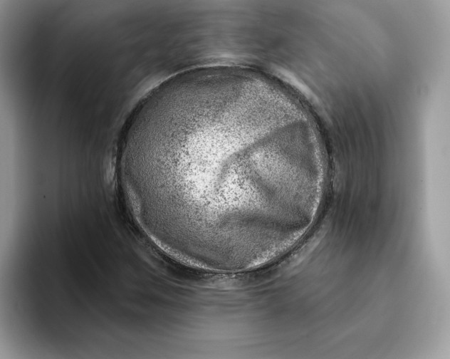 X0000093211259200710171335