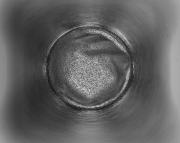 X0000093211260200710171335