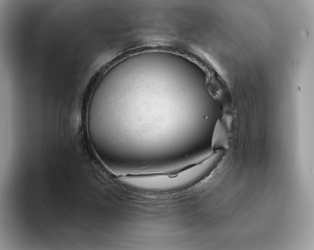 X0000093211261200710171335